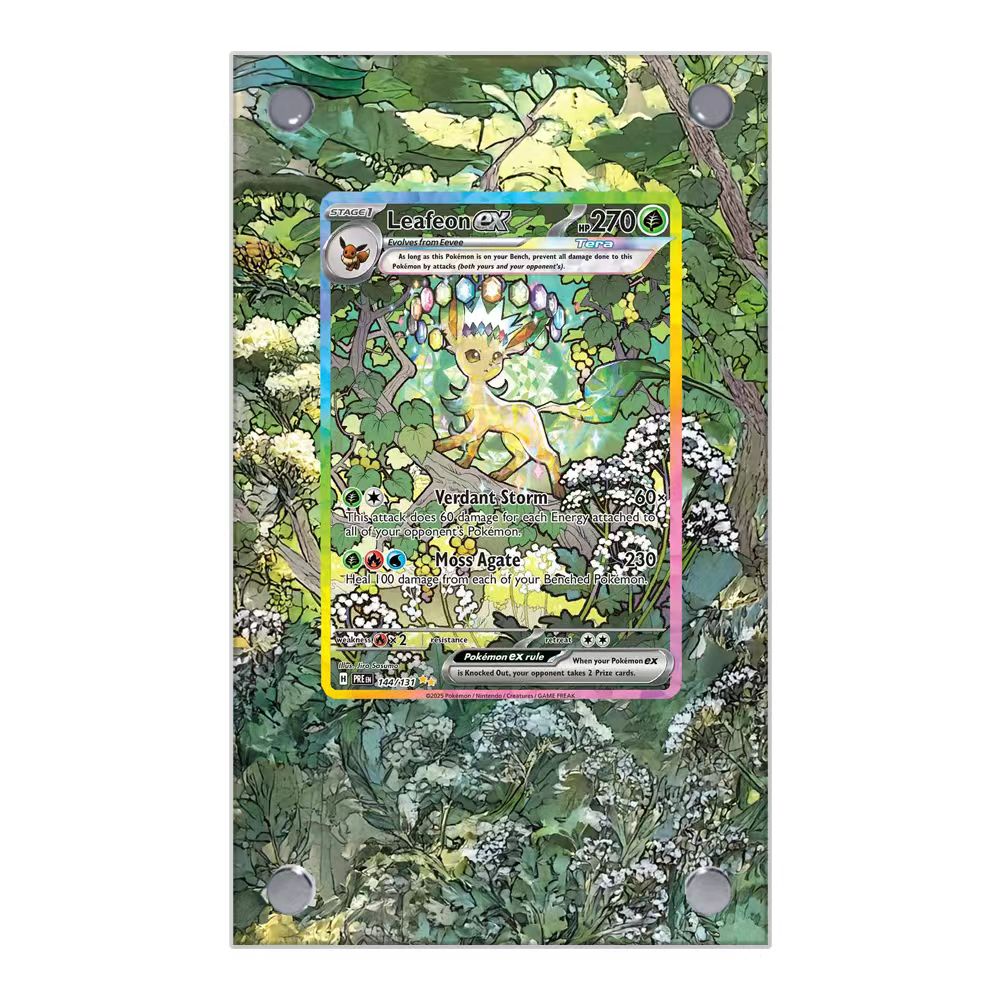 Pokemon Kartları Ekran PTCG Le - Display Case Acrylic incelemesi ve fiyatı